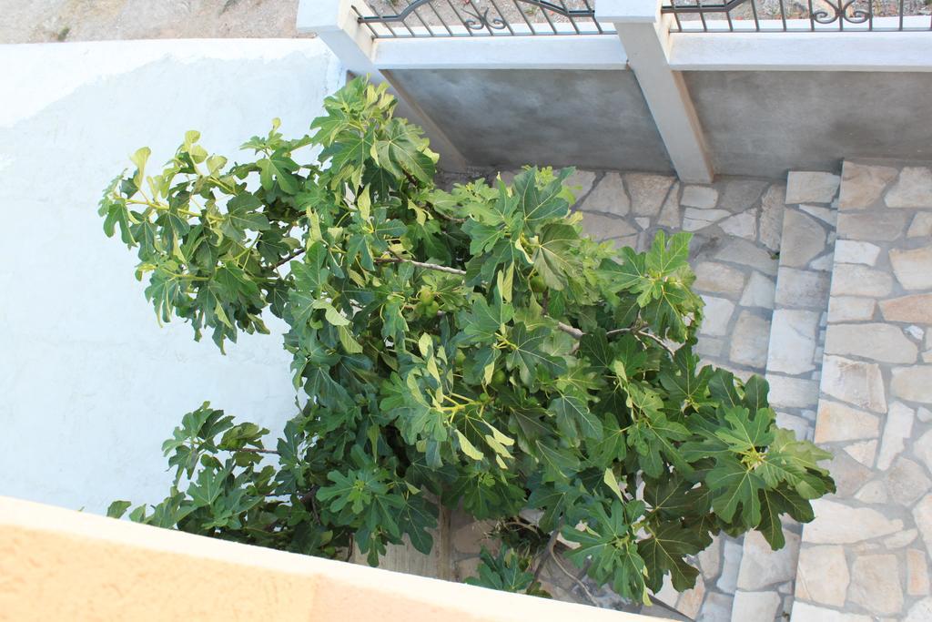 Apartments Adriatika Budva Kültér fotó